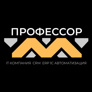 Статистика Дзен ПрофессорМ | Автоматизация | Внедрение CRM | ERP | 1C