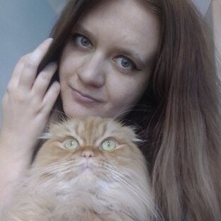 Статистика Дзен Дашуля и кот Антошка