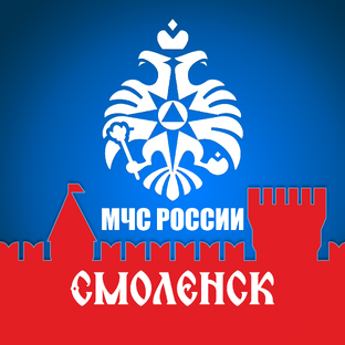 Статистика Дзен ГУ МЧС России по Смоленской области