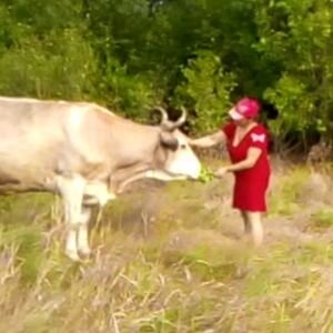 Дзен Рай в деревне своими руками статистика