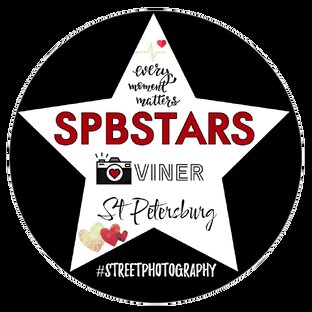 Статистика Дзен SPBSTARS