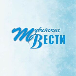 Статистика Дзен Тубинские вести