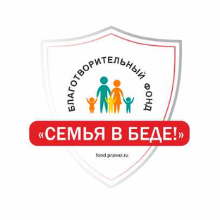 Статистика Дзен Благотворительный фонд "Семья в беде!"