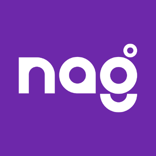 Статистика Дзен NagNews