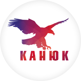 Статистика Дзен Компания КАНЮК