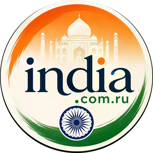 Статистика Дзен india.com.ru — поиск поставщиков в Индии