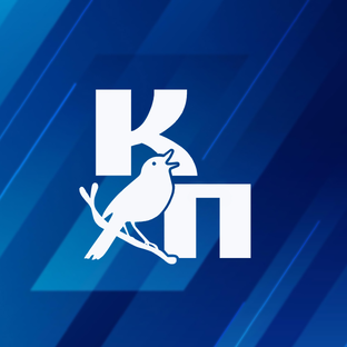 Статистика Дзен Курская правда