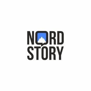 Статистика Дзен NORD STORY