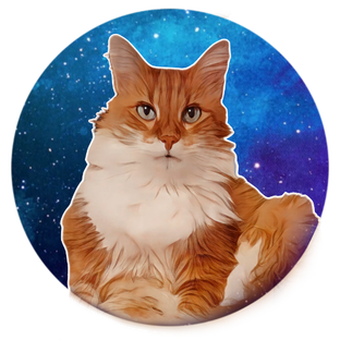 Статистика Дзен Кот и Ко