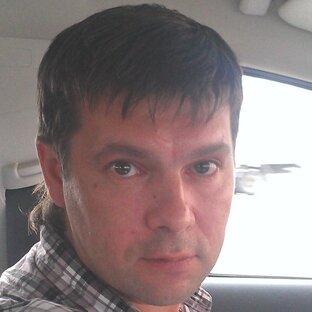 Дзен Риз статистика