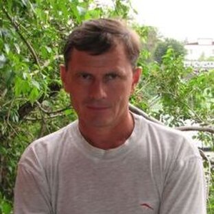 Статистика Дзен Алекс Кириллов