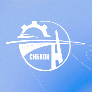 Статистика Дзен Университет СибАДИ