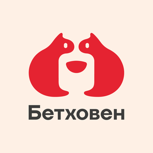 Статистика Дзен Сеть зоомагазинов «Бетховен»
