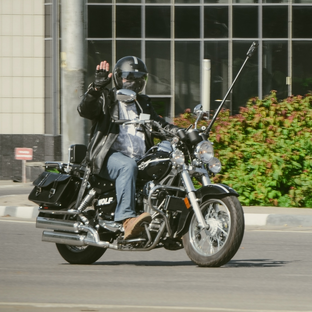 Дзен Мечтать не вредно. статистика