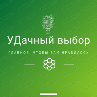 Статистика Дзен уДачный выбор