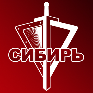Статистика Дзен Росгвардия. Сибирский округ