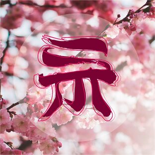 Статистика Дзен Shikimori