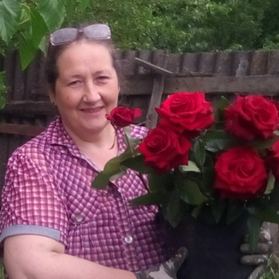 Статистика Дзен Madam Gala. Городская в селе.