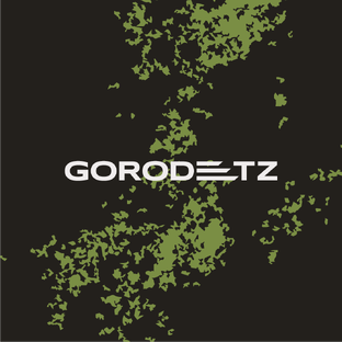 Статистика Дзен GORODETZ - БУДЬ СОБОЙ