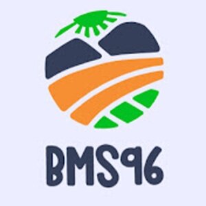 BMS96