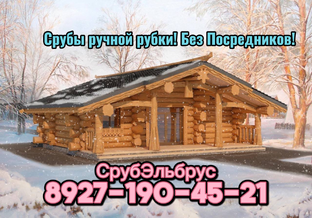 Дзен Срубы из Мордовии! статистика