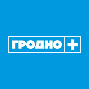 Статистика Дзен Гродно Плюс