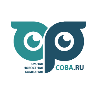 Статистика Дзен  Сова - Южная новостная компания