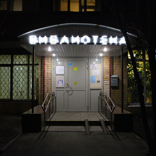 Статистика Дзен Библиотека 246