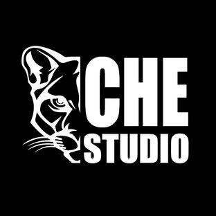 Статистика Дзен Вебология CHESTUDIO