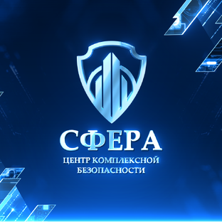 Статистика Дзен Центр комплексной безопасности "СФЕРА"