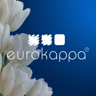Статистика Дзен Элайнеры EUROKAPPA | Все про здоровье зубов