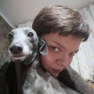 Статистика Дзен Левреткоман-оч.умелец🐾