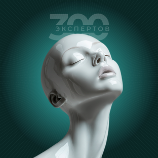 Статистика Дзен 300 ЭКСПЕРТОВ