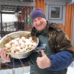 Статистика Дзен Дед ЧТП - РУССКОЕ ХОЗЯЙСТВО.