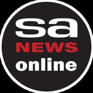 Статистика Дзен SANEWS-ONLINE