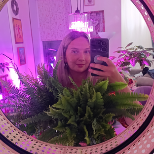 Статистика Дзен Окситоциновый  Дом  с Dina Vladi.