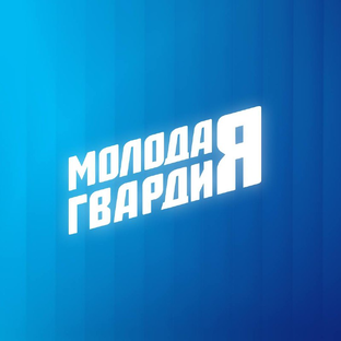 Статистика Дзен Молодая Гвардия | Пензенская область 