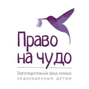 Статистика Дзен Право на чудо 