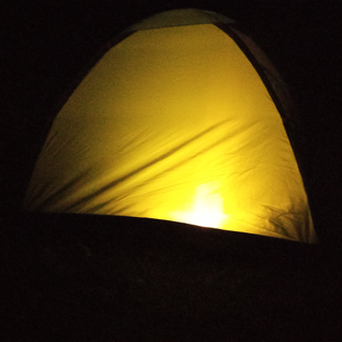 Дзен Белый царь  статистика