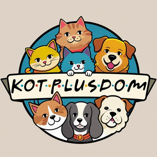 Статистика Дзен КотПлюсДом
