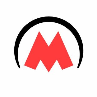 Статистика Дзен Метросеть