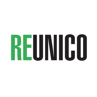 Статистика Дзен REUNICO
