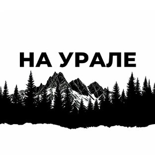 Статистика Дзен На Урале...