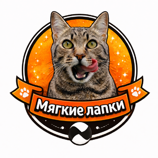 Статистика Дзен Мягкие лапки🐈🐾