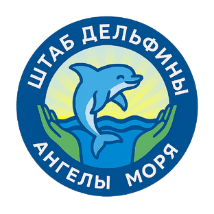 Статистика Дзен Я Волонтер - "Ангелы моря"