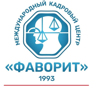 Статистика Дзен Международное кадровое агентство ФАВОРИТ