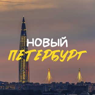 Статистика Дзен Новый Петербург