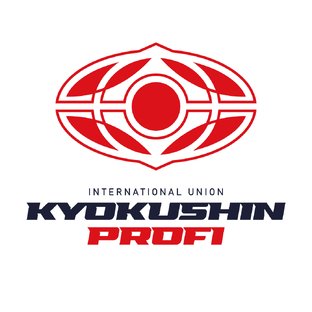 Статистика Дзен Карате "Киокушин Профи"