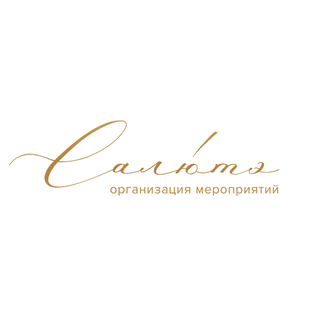 Статистика Дзен Салютэ Ивент (Salute Event)