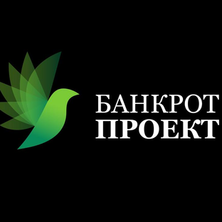Статистика Дзен Банкротство физических лиц